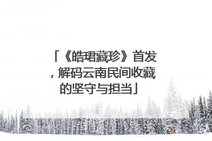 《皓珺藏珍》首发，解码云南民间收藏的坚守与担当