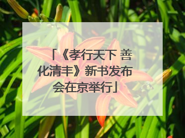 《孝行天下 善化清丰》新书发布会在京举行