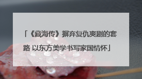 《藏海传》摒弃复仇爽剧的套路 以东方美学书写家国情怀