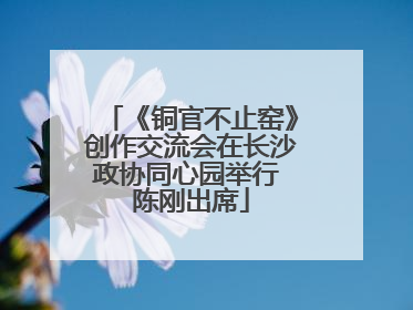 《铜官不止窑》创作交流会在长沙政协同心园举行 陈刚出席