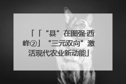 「“县”在图强·西峰②」“三元双向”激活现代农业新动能
