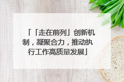 「走在前列」创新机制，凝聚合力，推动执行工作高质量发展