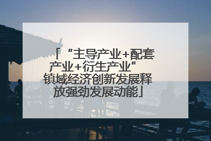 “主导产业+配套产业+衍生产业” 镇域经济创新发展释放强劲发展动能