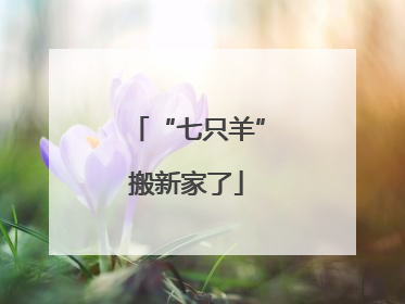 “七只羊”搬新家了