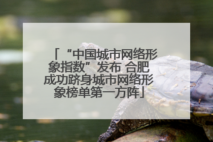 “中国城市网络形象指数”发布 合肥成功跻身城市网络形象榜单第一方阵