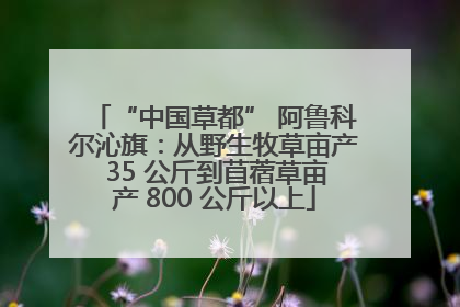“中国草都” 阿鲁科尔沁旗：从野生牧草亩产 35 公斤到苜蓿草亩产 800 公斤以上