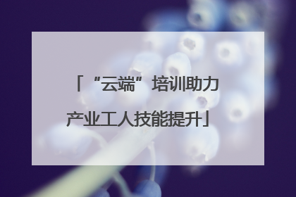 “云端”培训助力产业工人技能提升