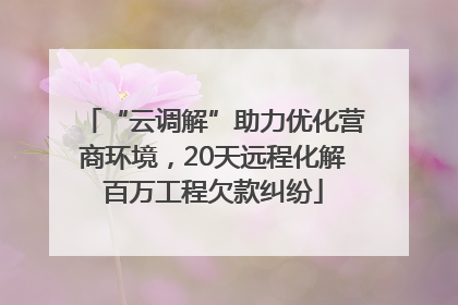 “云调解”助力优化营商环境，20天远程化解百万工程欠款纠纷