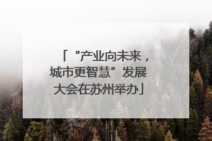“产业向未来，城市更智慧”发展大会在苏州举办