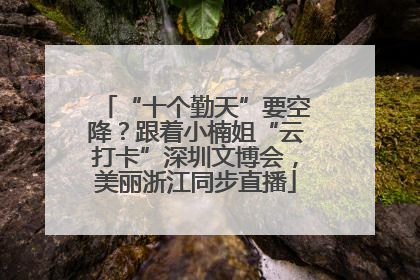 “十个勤天”要空降？跟着小楠姐“云打卡”深圳文博会，美丽浙江同步直播