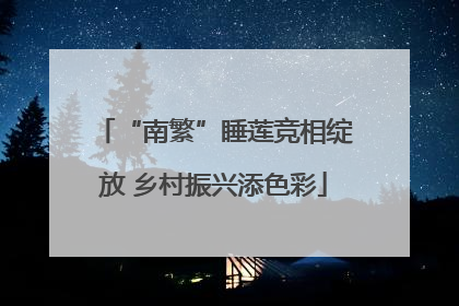 “南繁”睡莲竞相绽放 乡村振兴添色彩
