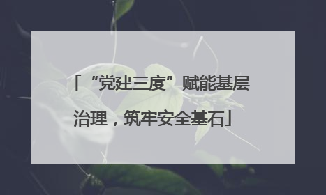 “党建三度”赋能基层治理，筑牢安全基石