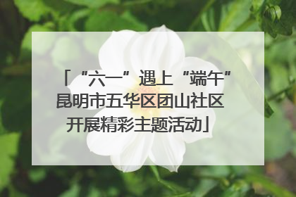 “六一”遇上“端午” 昆明市五华区团山社区开展精彩主题活动
