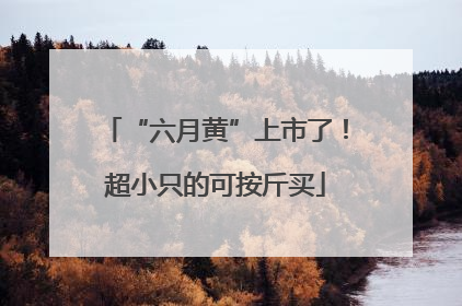 “六月黄”上市了！超小只的可按斤买