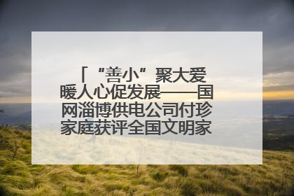“善小”聚大爱 暖人心促发展——国网淄博供电公司付珍家庭获评全国文明家庭背后的文明密码