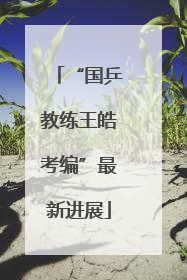 “国乒教练王皓考编”最新进展