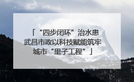 “四步闭环”治水患 武昌市政以科技赋能筑牢城市“里子工程”