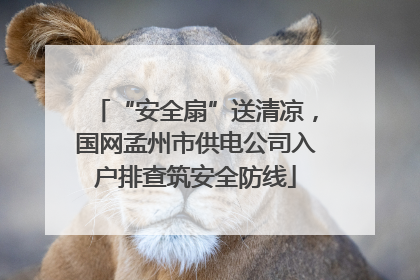“安全扇”送清凉，国网孟州市供电公司入户排查筑安全防线