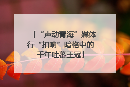 “声动青海”媒体行“扣响”暗格中的千年吐蕃王冠