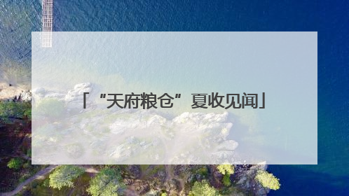 “天府粮仓”夏收见闻