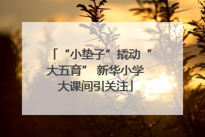 “小垫子”撬动“大五育” 新华小学大课间引关注