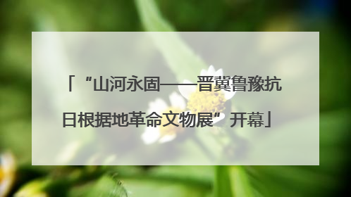 “山河永固——晋冀鲁豫抗日根据地革命文物展”开幕