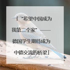 “希望中国成为我第二个家”——德国学生期待成为中德交流的桥梁