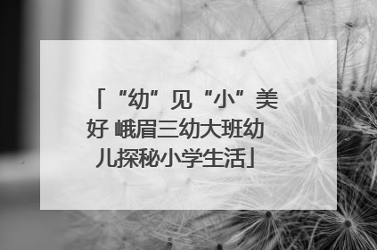 “幼”见“小”美好 峨眉三幼大班幼儿探秘小学生活
