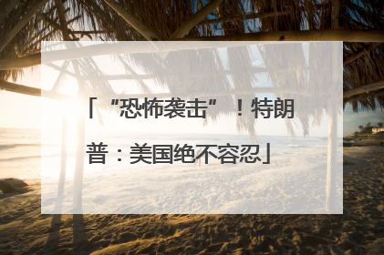 “恐怖袭击”！特朗普：美国绝不容忍
