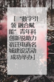“数字引领 融合赋能”青年科创新锐助力宿迁电商名城建设活动成功举办