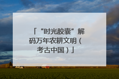 “时光胶囊”解码万年农耕文明（考古中国）