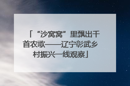 “沙窝窝”里飘出千首农歌——辽宁彰武乡村振兴一线观察
