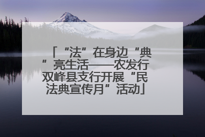 “法”在身边“典”亮生活——农发行双峰县支行开展“民法典宣传月”活动