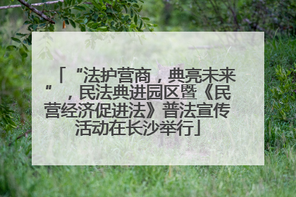 “法护营商，典亮未来”，民法典进园区暨《民营经济促进法》普法宣传活动在长沙举行