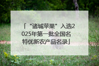 “诸城苹果”入选2025年第一批全国名特优新农产品名录