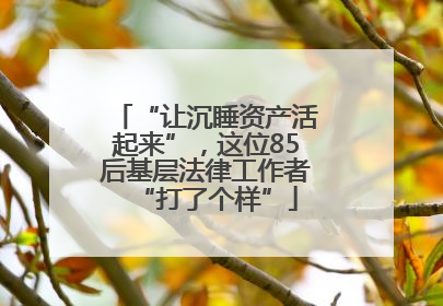 “让沉睡资产活起来”，这位85后基层法律工作者“打了个样”