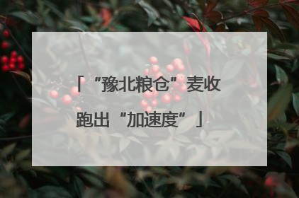 “豫北粮仓”麦收跑出“加速度”