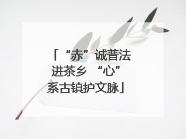 “赤”诚普法进茶乡 “心”系古镇护文脉