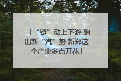 “链”动上下游 跑出新“汽”势 新郑这个产业多点开花