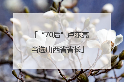“70后”卢东亮当选山西省省长