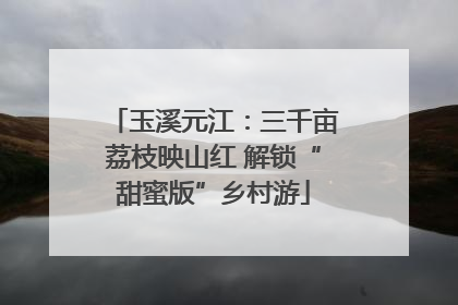 玉溪元江：三千亩荔枝映山红 解锁“甜蜜版”乡村游