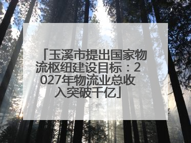 玉溪市提出国家物流枢纽建设目标：2027年物流业总收入突破千亿