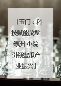 玉门：科技赋能戈壁绿洲 小院引领蜜瓜产业振兴