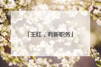 王红，有新职务
