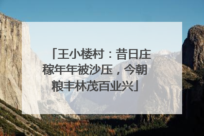 王小楼村：昔日庄稼年年被沙压，今朝粮丰林茂百业兴