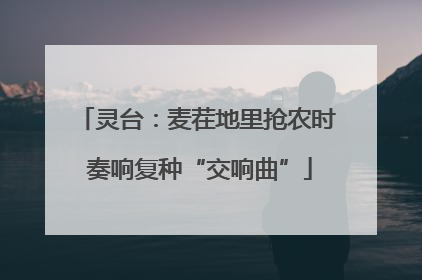 灵台：麦茬地里抢农时 奏响复种“交响曲”