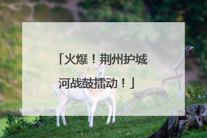 火爆！荆州护城河战鼓擂动！