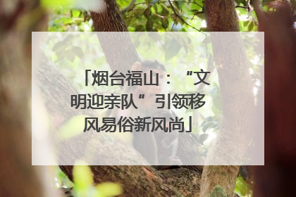 烟台福山：“文明迎亲队”引领移风易俗新风尚