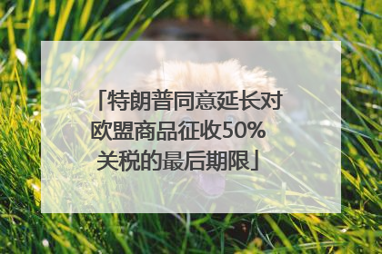 特朗普同意延长对欧盟商品征收50%关税的最后期限