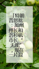 特朗普怒批：加州州长和洛杉矶市长“无能”，现在一片混乱